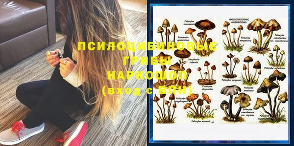 скорость Новозыбков