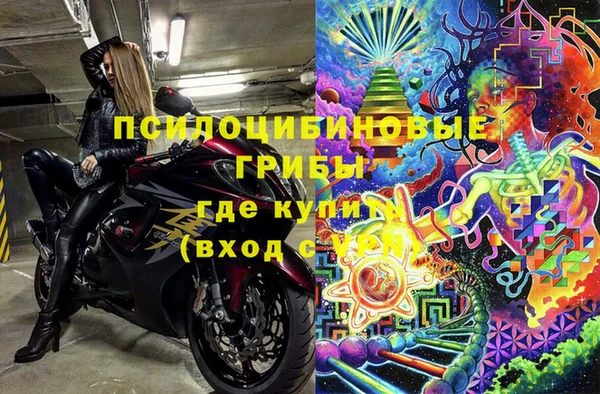 скорость Новозыбков