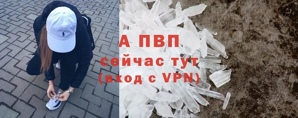 гашик Нефтегорск