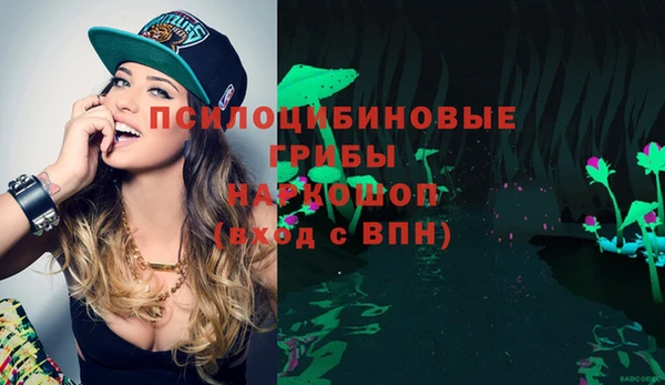 ECSTASY Новодвинск