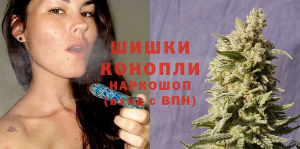 скорость Новозыбков