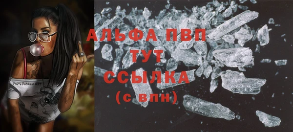 ECSTASY Новодвинск